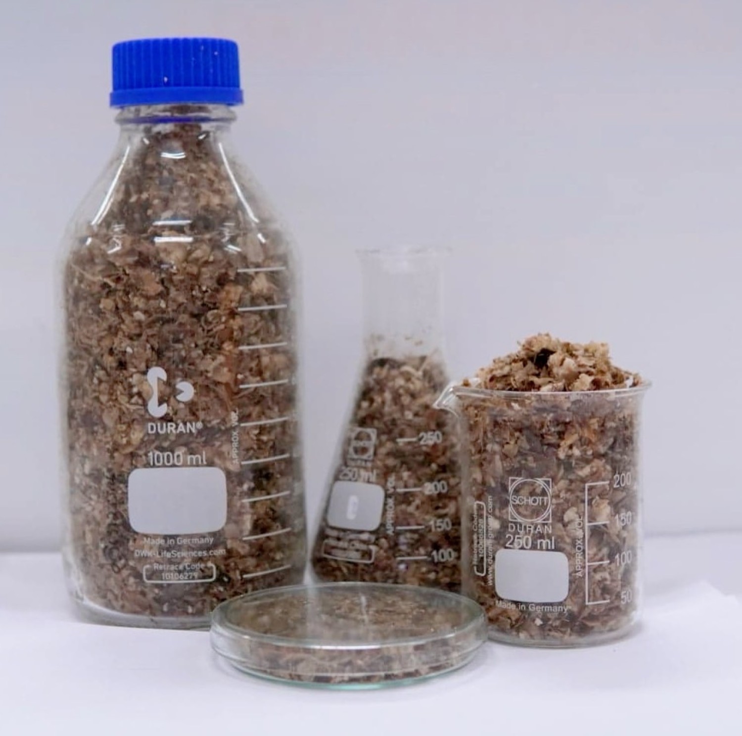 สูตรอาหารเลี้ยงเชื้อจุลินทรีย์สำหรับการหมักอาหารเลี้ยงสัตว์เคี้ยวเอื้อง 