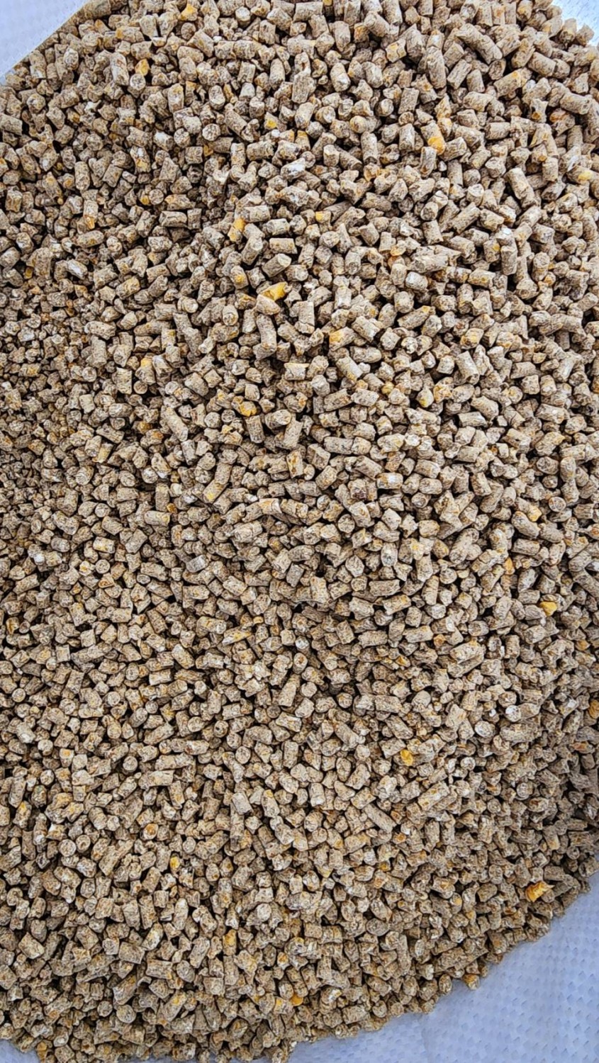 อาหารข้นสำหรับโครีดนมระยะให้น้ำนมสูง