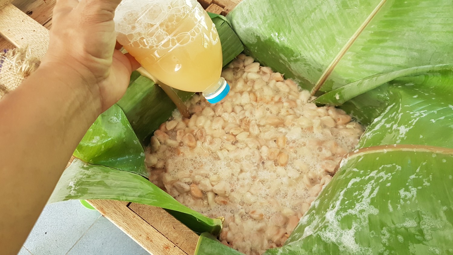 กระบวนการหมักโกโก้ที่มีการเติมน้ำเหลือทิ้งจากการหมัก