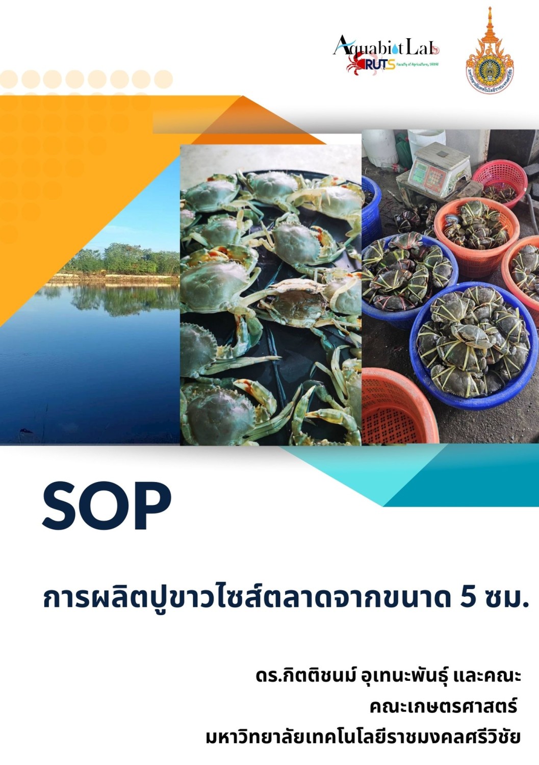 SOP การผลิตปูขาวขนาดตลาด