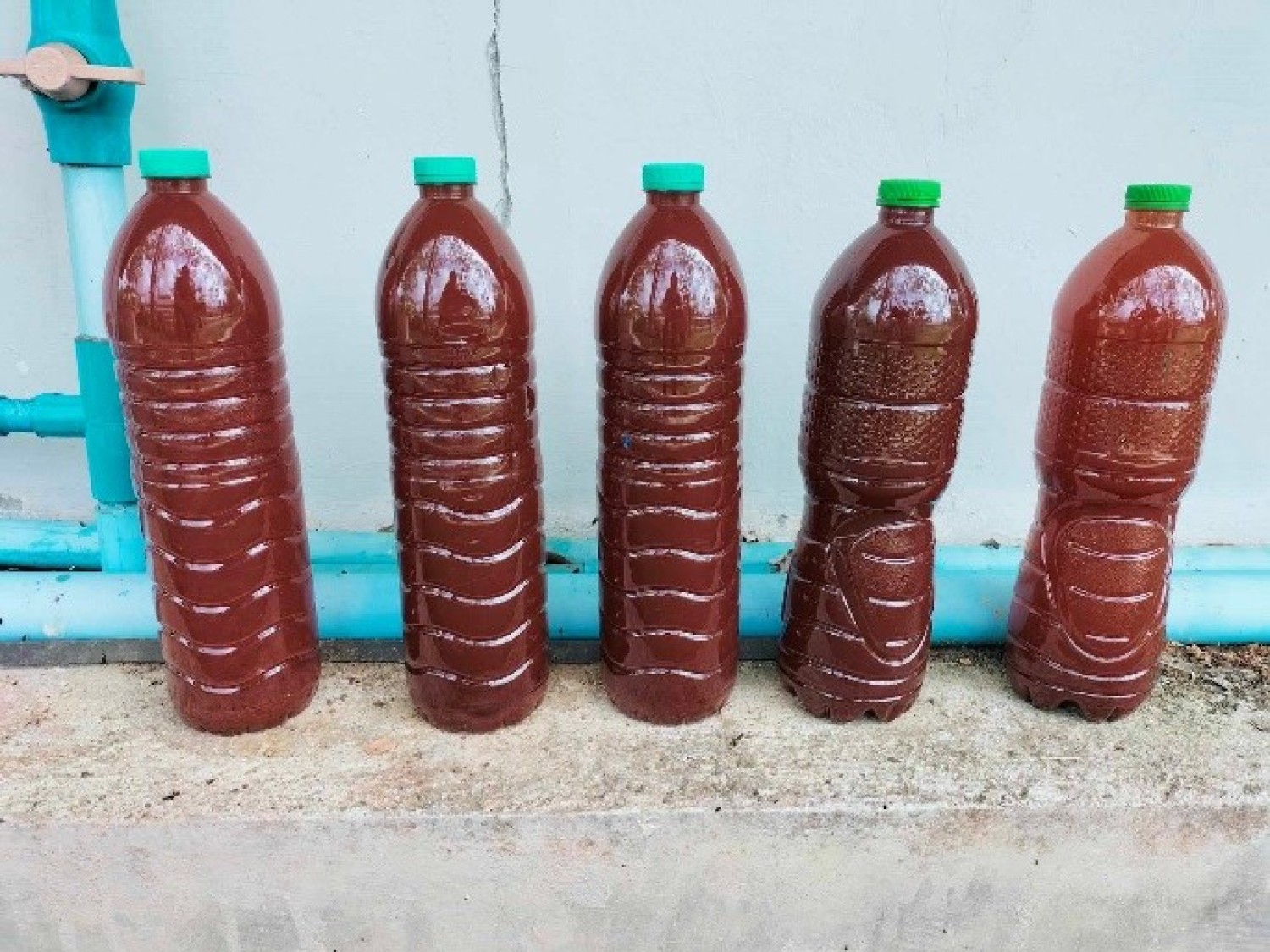 เทคโนโลยีการใช้จุลินทรีย์ในการเพาะเลี้ยงสัตว์น้ำ 