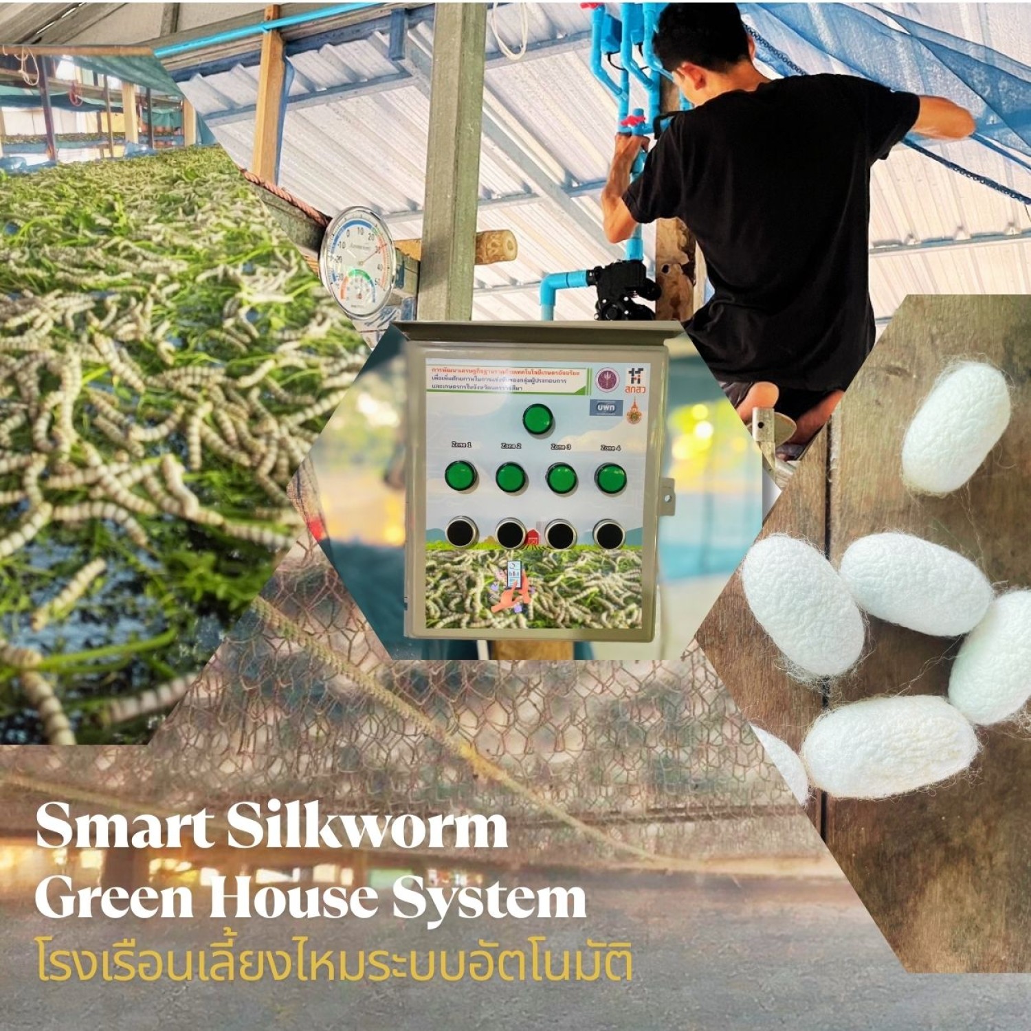 โรงเรือนเลี้ยงไหมระบบอัตโนมัติ