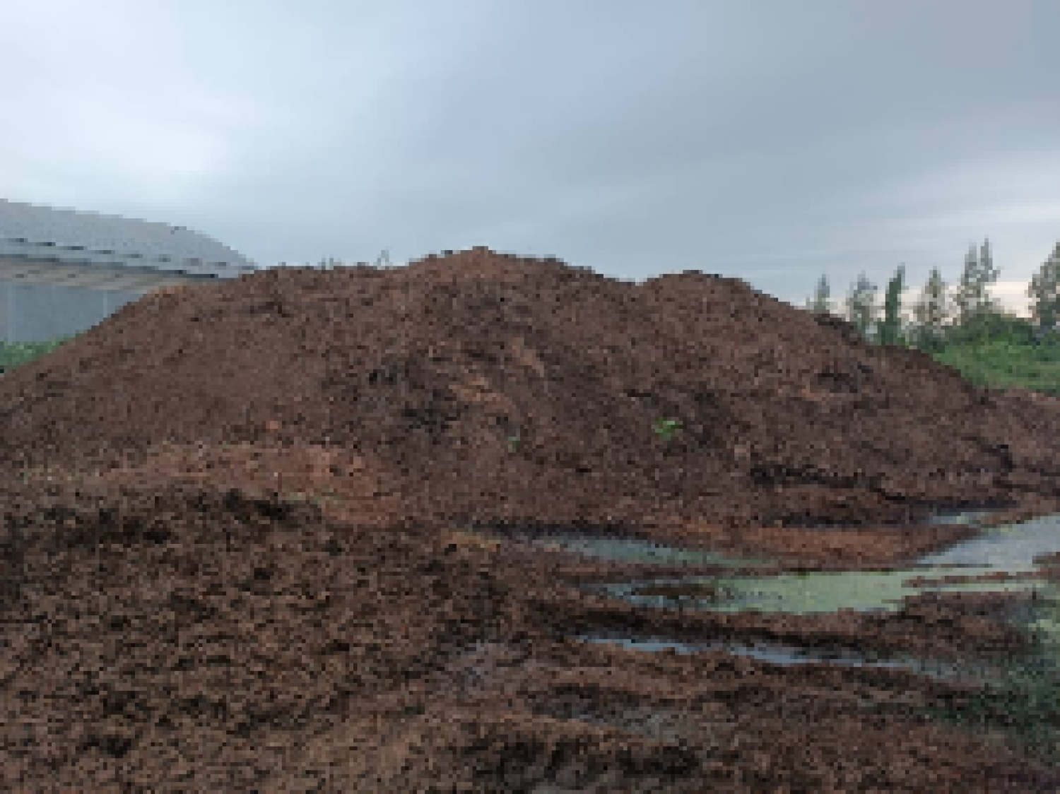 วัสดุปรับปรุงดินอินทรีย์ 