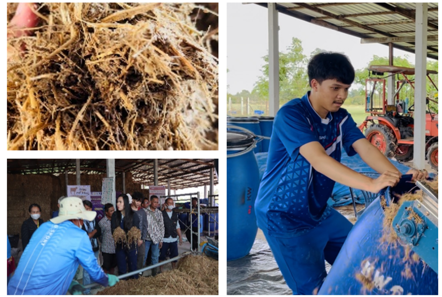 รายการใหม่