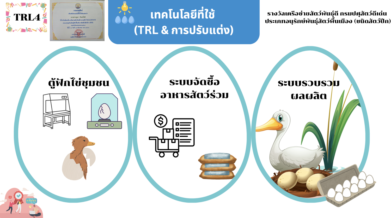 นวัตกรรมการเลี้ยงเป็ดปากน้ำระบบเครือข่าย