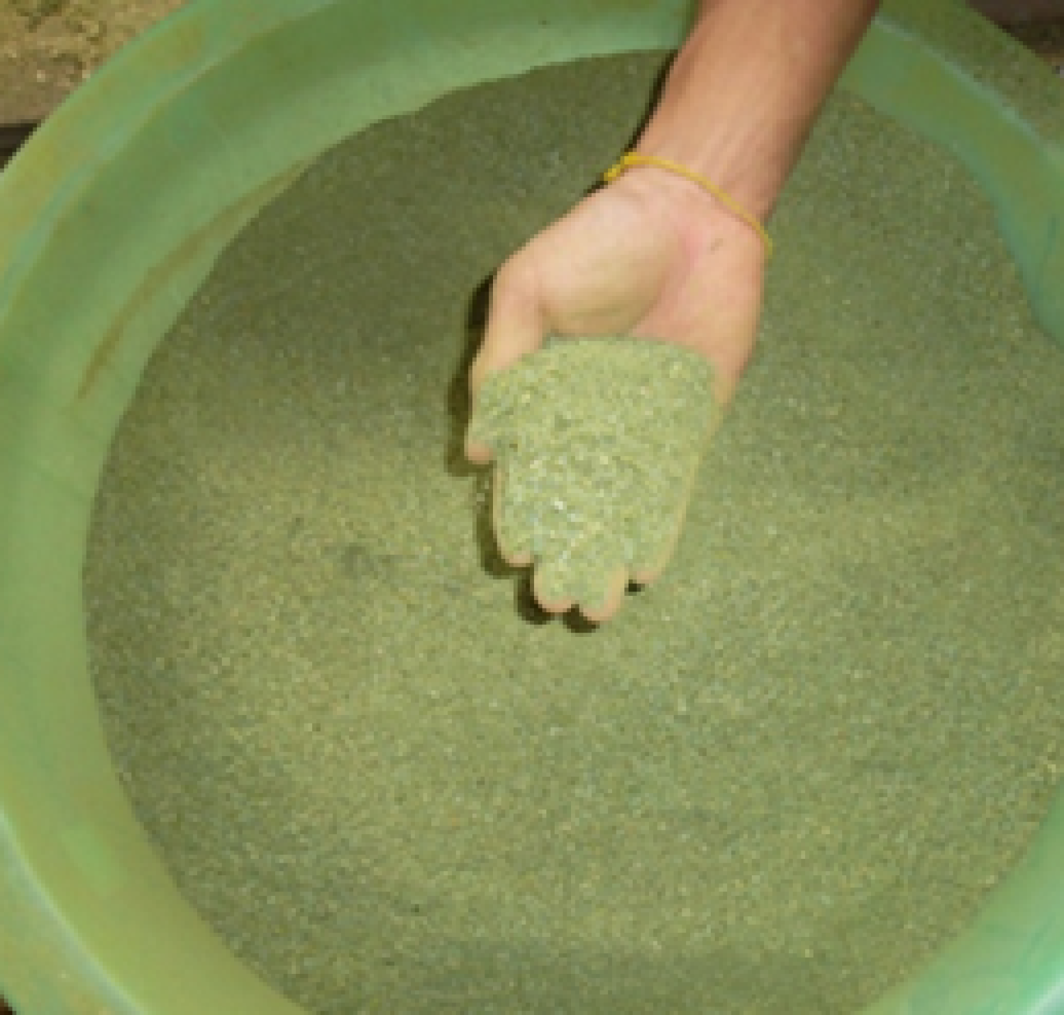 การผลิตอาหารข้นด้วยวัตถุดิบท้องถิ่นทดแทนแหล่งโปรตีน