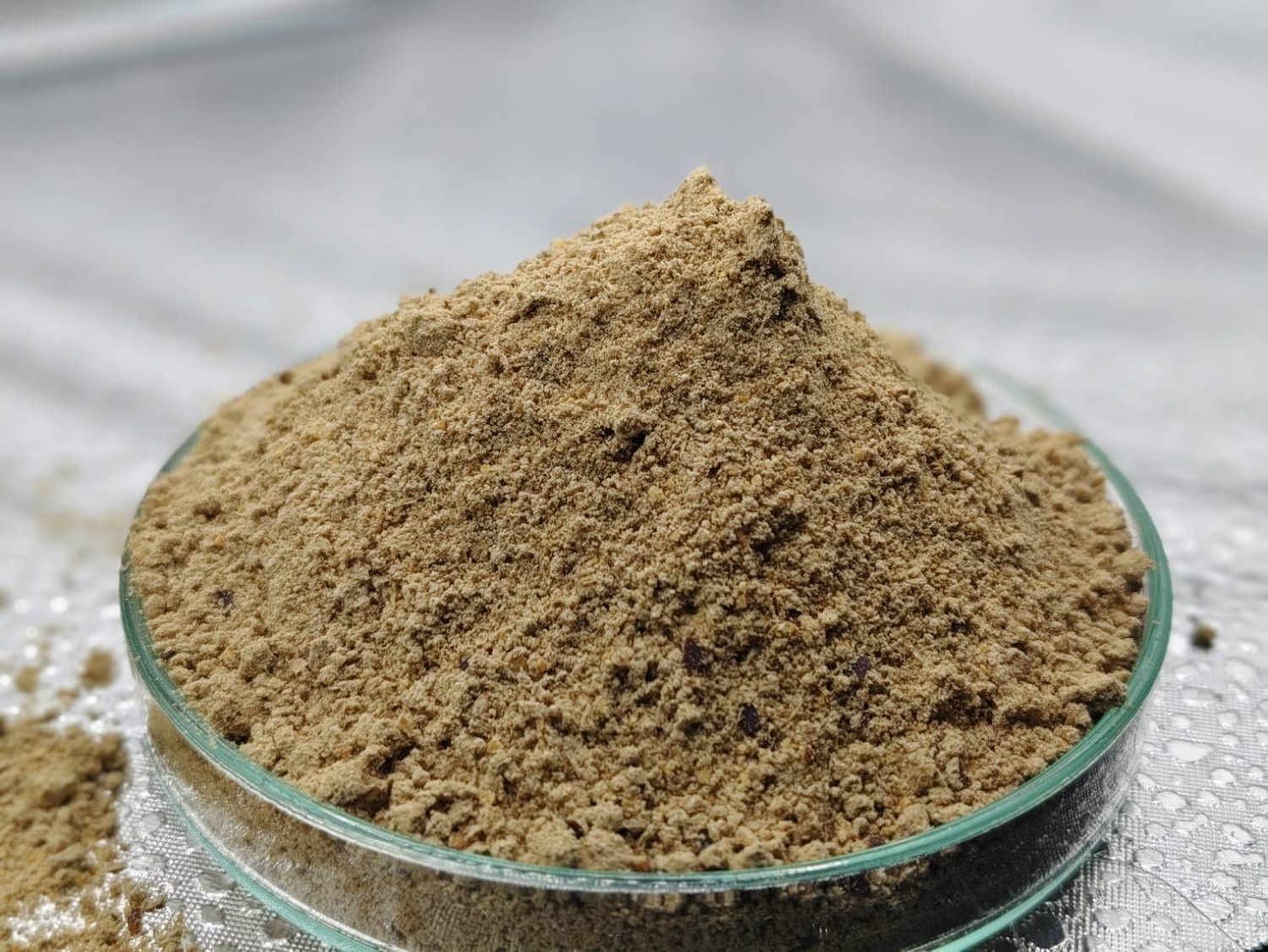 สูตรอาหารข้นสำหรับสัตว์เคี้ยวเอื้อง