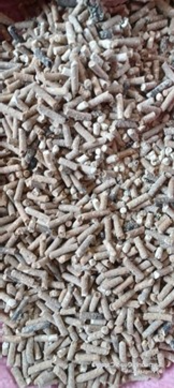 สูตรอาหารสัตว์ปีกที่มีหนอน BSF เป็นส่วนผสม