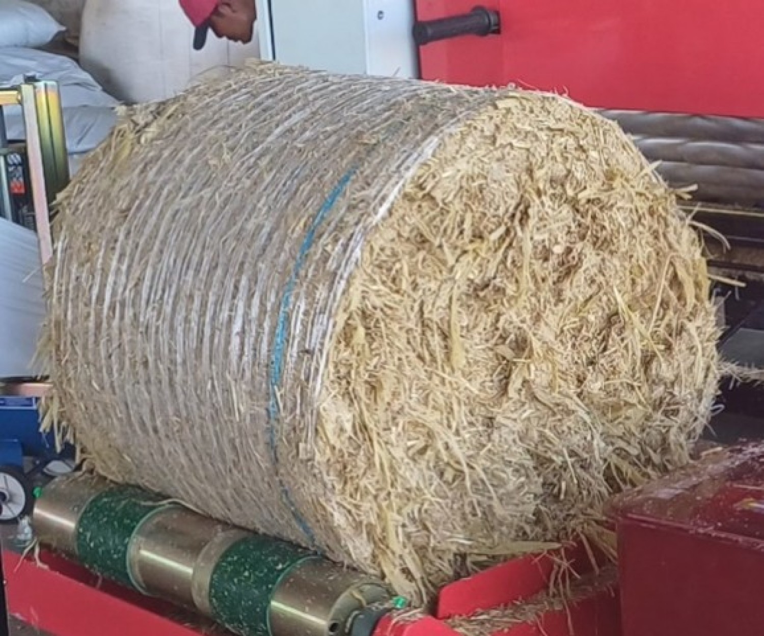 อาหารผสมครบส่วนสูตรยอดมันสำปะหลังหมัก