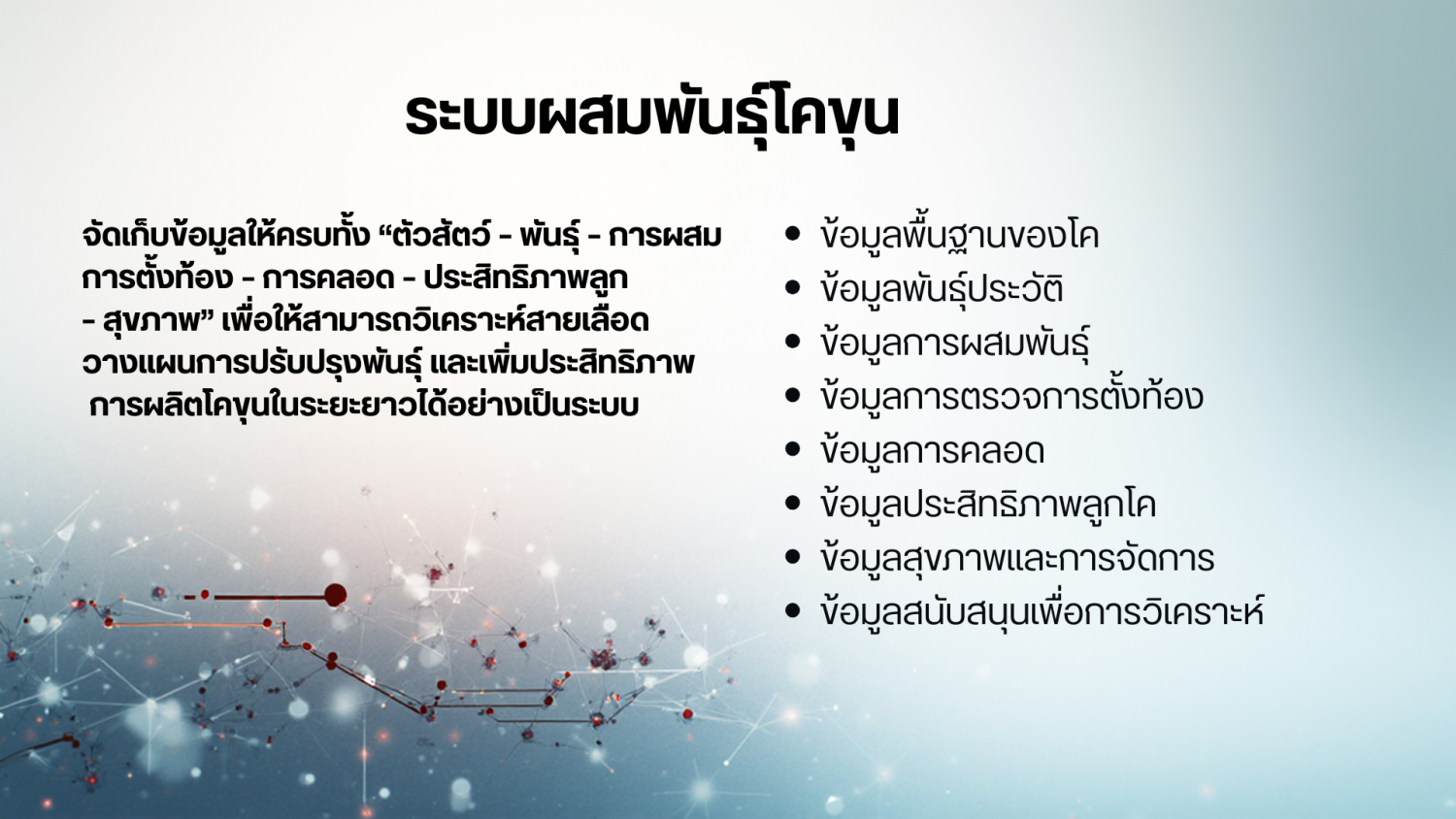 ระบบผสมพันธุ์โคขุน