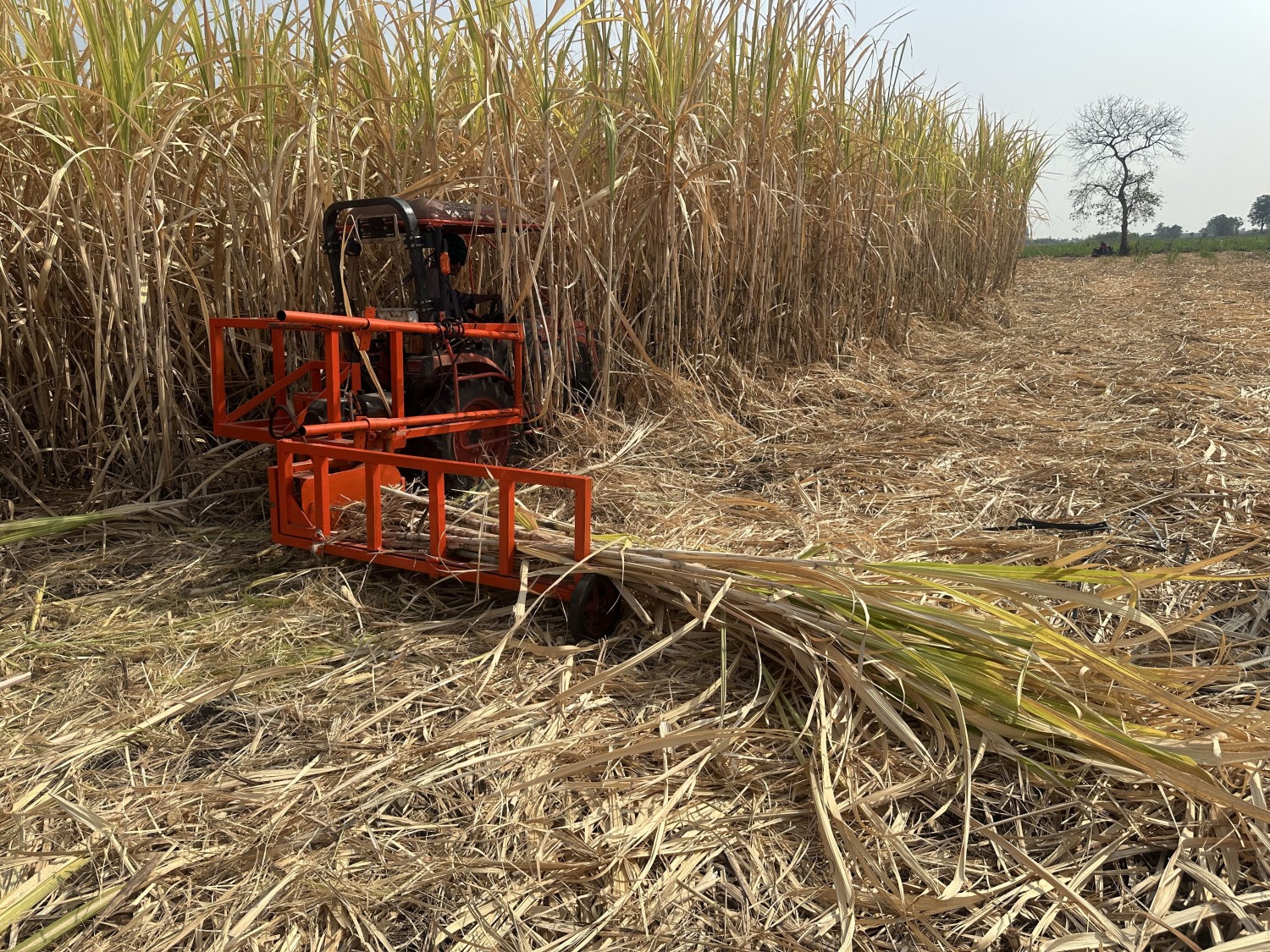 อุปกรณ์ต่อพ่วงรถแทรกเตอร์ขนาดเล็กสำหรับตัดอ้อยและรวมกองอัตโนมัติ