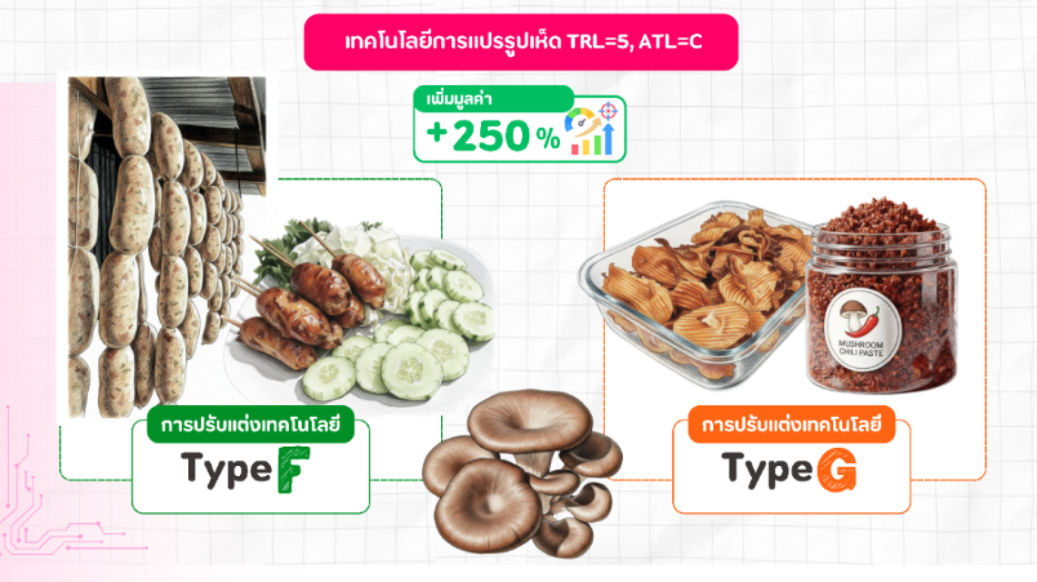 เทคโนโลยีการแปรรูปผลิตภัณฑ์จากเห็ด 