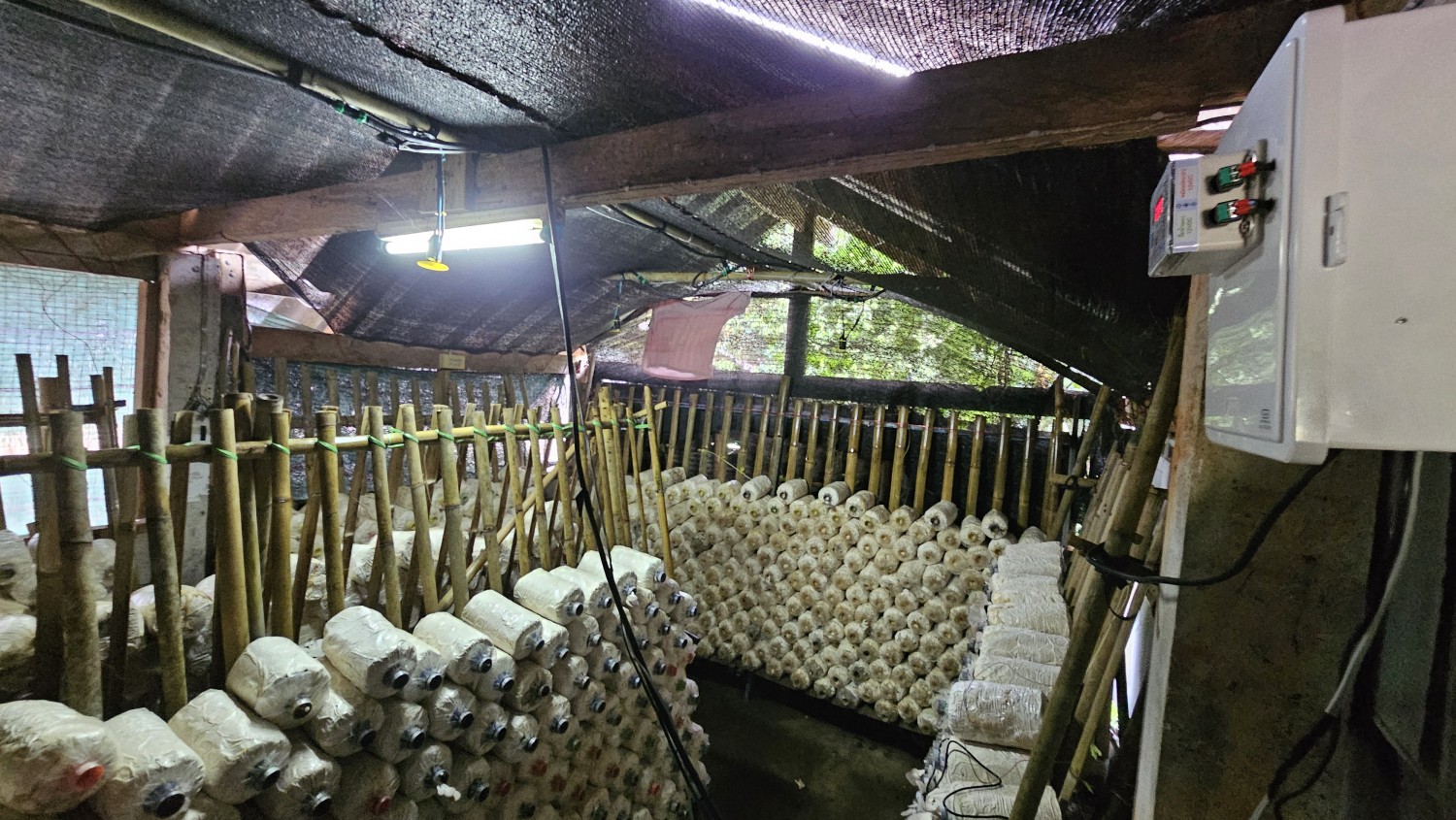 กล่องควบคุมโรงเพาะเห็ดอัตโนมัติ