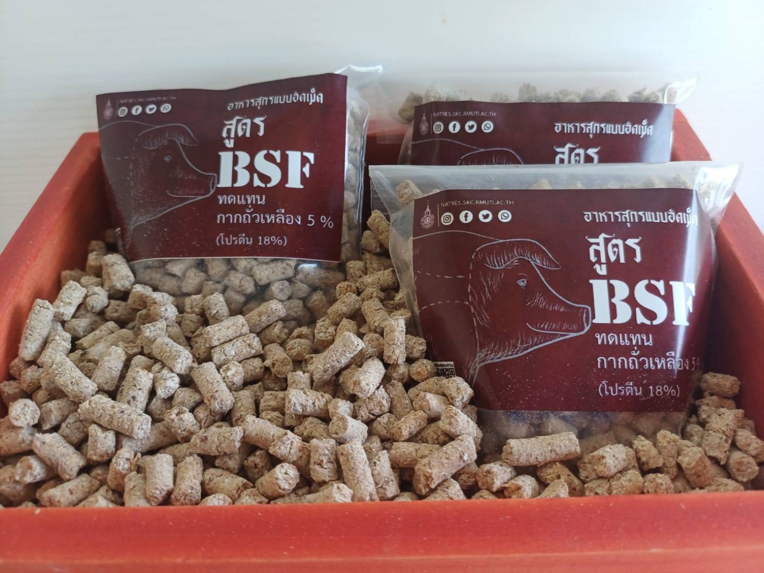 สูตรและกรรมวิธีการผลิตอาหารสุกรอัดเม็ดเสริมแมลงโปรตีน