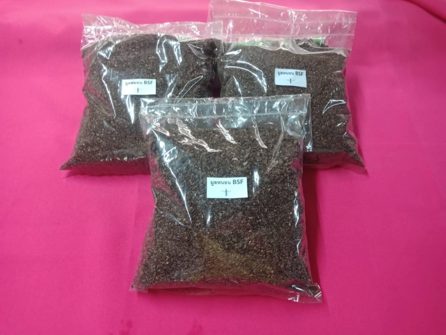 ปุ๋ยมูลหนอนแมลงโปรตีน BSF ผสมเชื้อไตรโคเดอร์มา