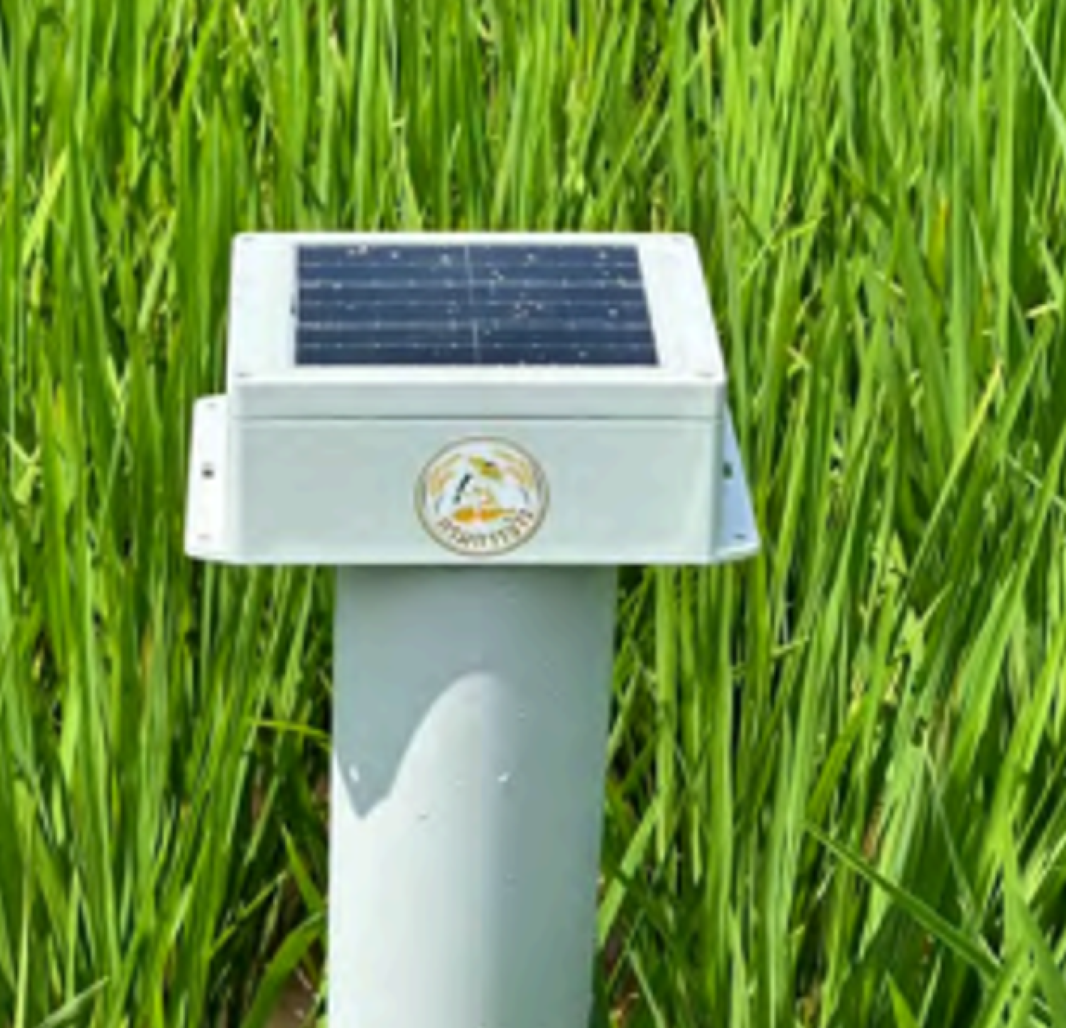 เทคโนโลยีการปลูกข้าวอัจฉริยะ