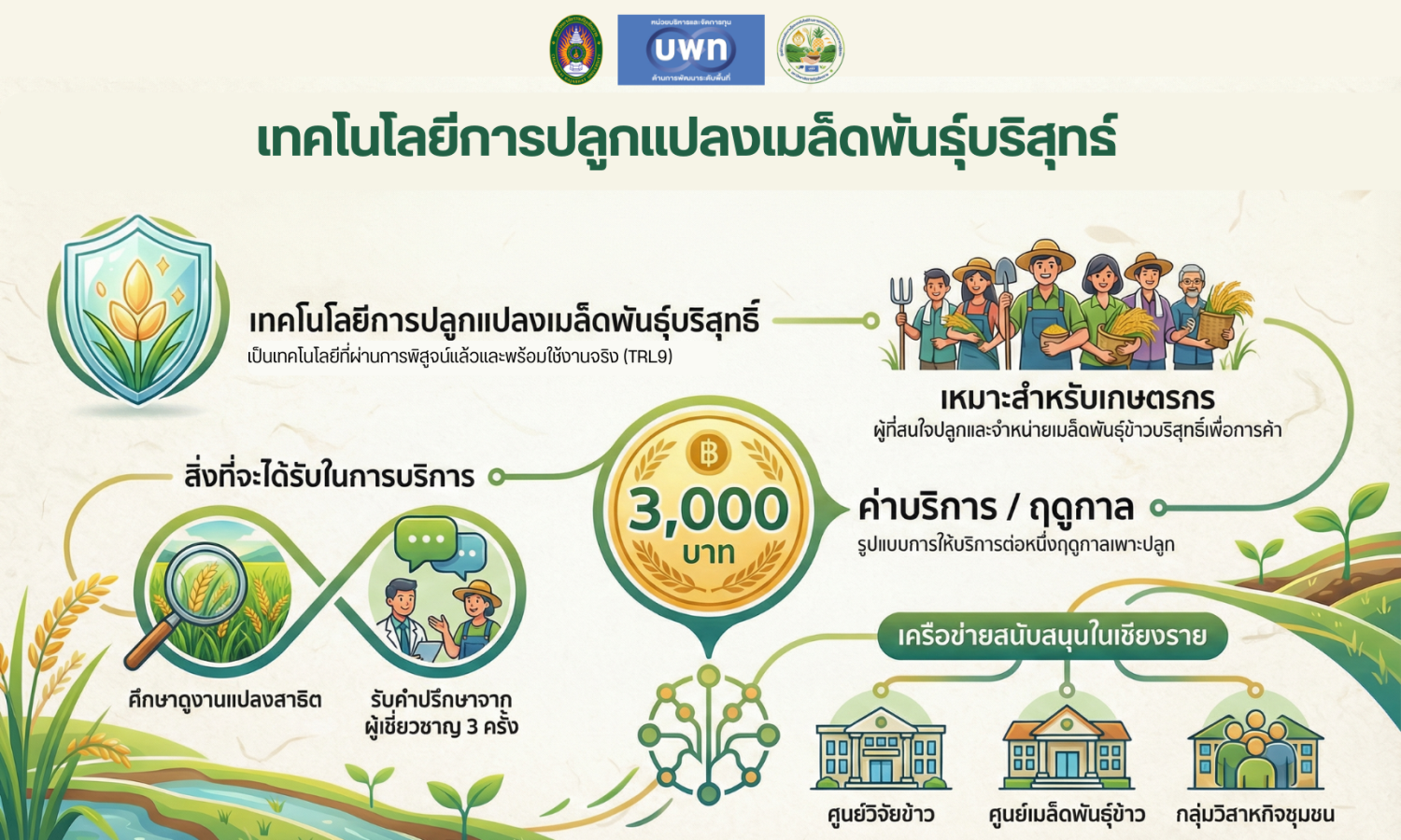 เทคโนโลยีการปลูกแปลงเมล็ดพันธุ์บริสุทธ์ 