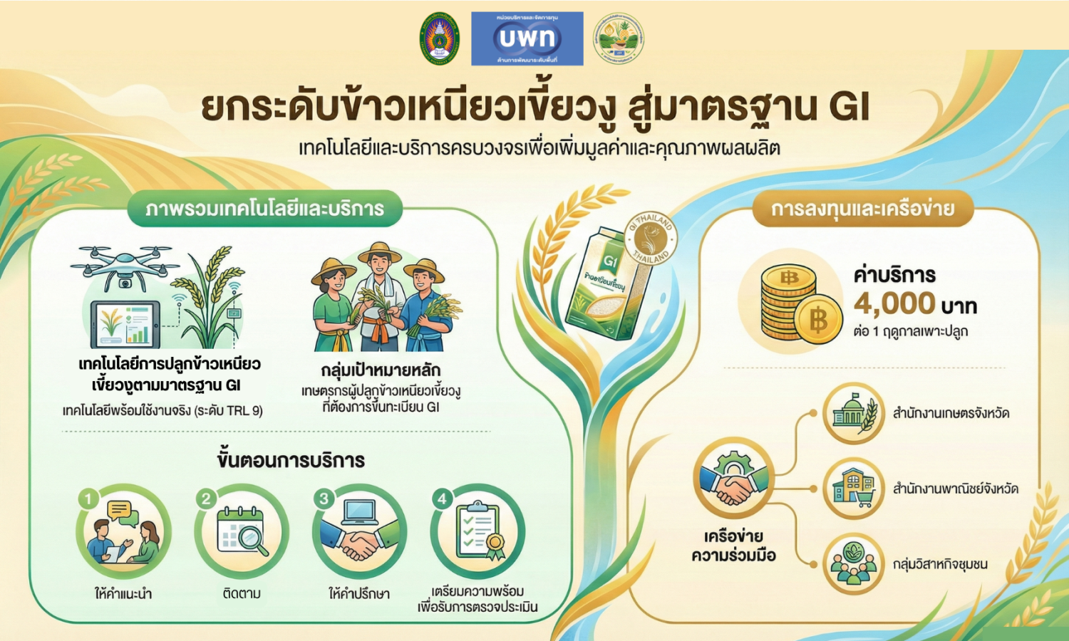 เทคโนโลยีการปลูกข้าวเหนียวเขี้ยวตามมาตรฐาน GI 