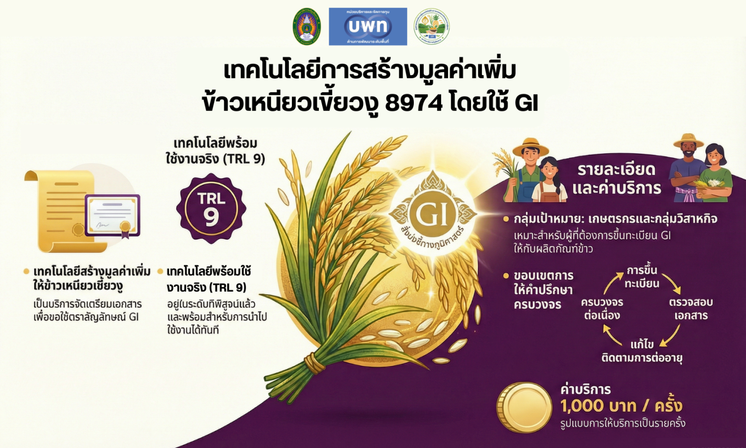 เทคโนโลยีการสร้างมูลค่าเพิ่ม ข้าวเหนียวเขี้ยวงู 8974  โดยใช้ GI  