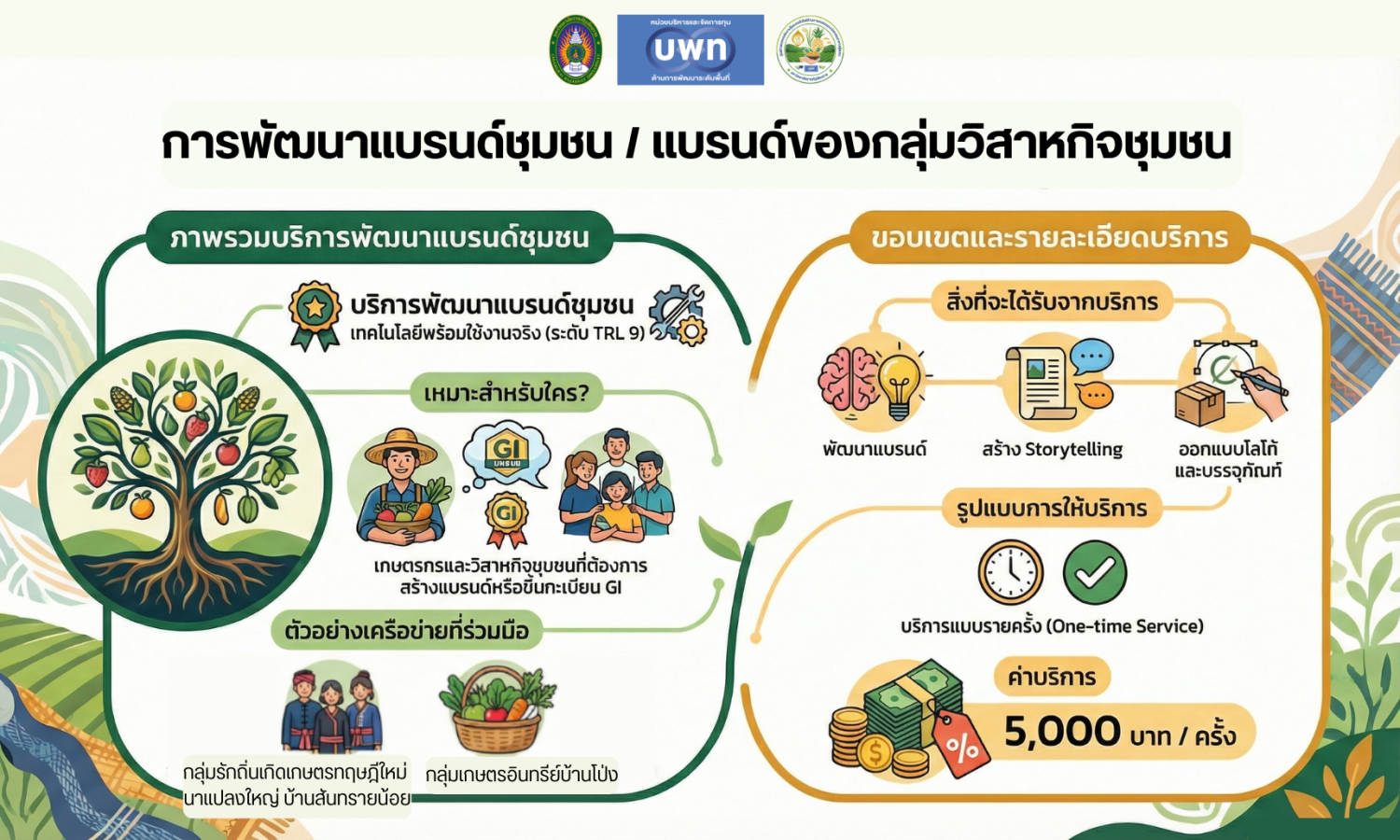การพัฒนาแบรนด์ชุมชน / แบรนด์ของกลุ่มวิสาหกิจชุมชน ข้าวเหนียวเขี้ยวงู