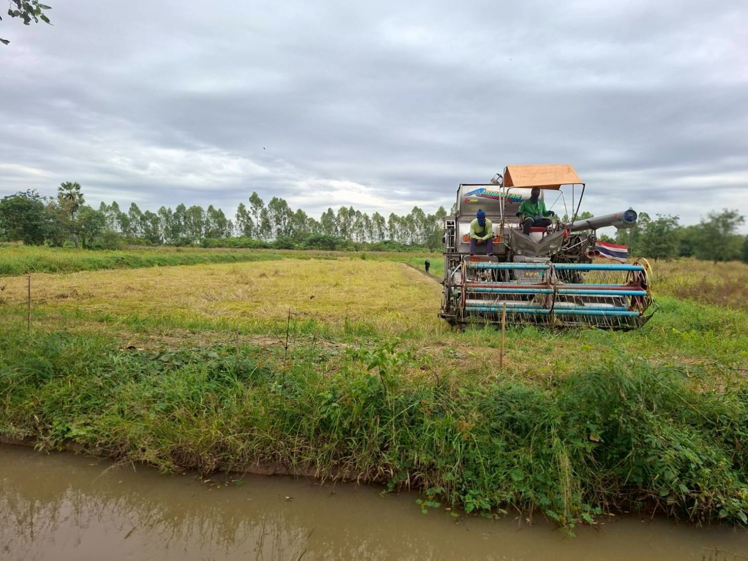 ระบบจัดการนาแปลงใหญ่ (Large-Scale Rice Farming Management System) (การรวมกลุ่มเกษตรกรเพื่อวางแผนเพาะปลูกร่วมกัน และการใช้เครื่องจักร/นวัตกรรมร่วมกัน)