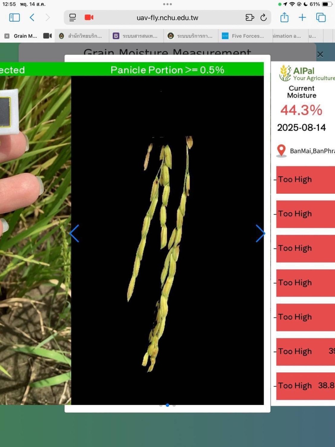 แอปพลิเคชันตรวจวัดความชื้นเมล็ดข้าว