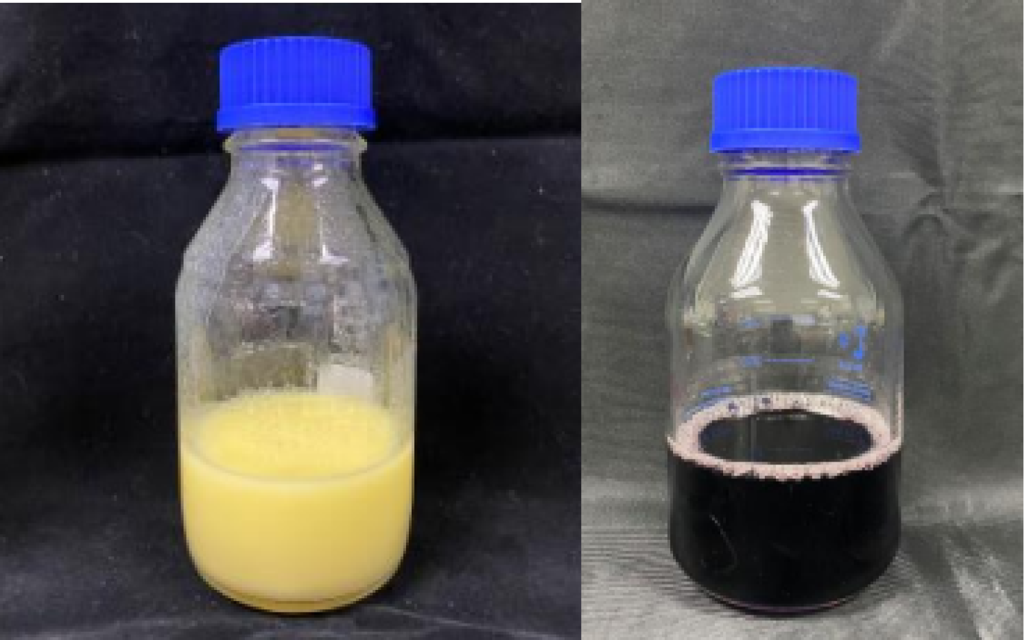 ผลิตภัณฑ์เครื่องดื่มโพรไบโอติกจากพืช