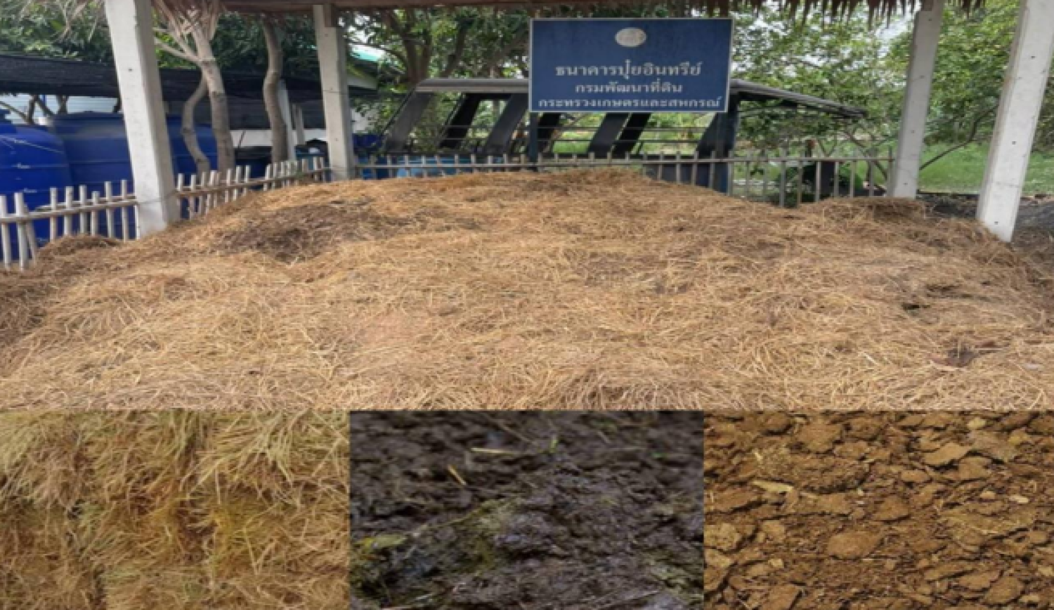 ผลิตภัณฑ์ปุ๋ยหมักจากฟางข้าวเพื่อการเกษตรแบบยั่งยืน