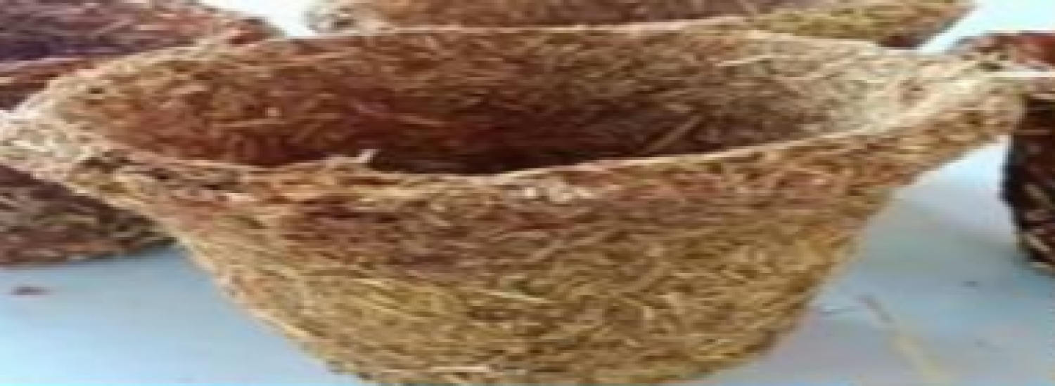 ผลิตภัณฑ์กระถางเพาะชำต้นไม้จากฟางข้าว