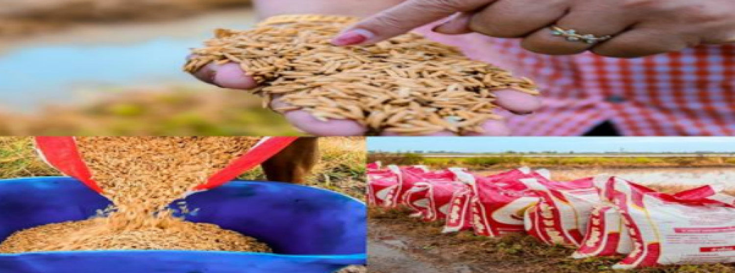 ผลิตภัณฑ์ข้าวเปลือกข้าวปลูกนาหัวเวียง