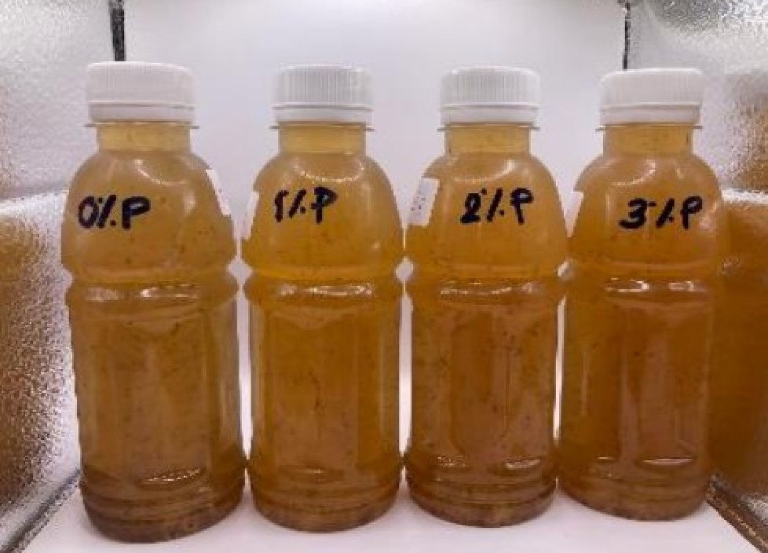 เครื่องดื่มน้ำเห็ดสกัด