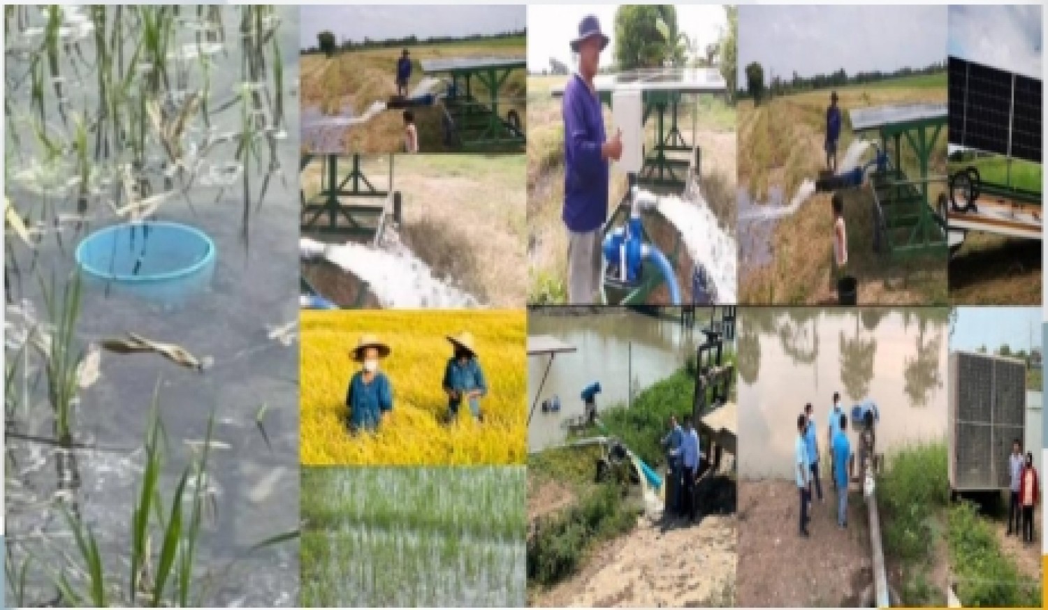 ระบบปัญญาประดิษฐ์เพื่อการพยากรณ์ปริมาณน้ำ