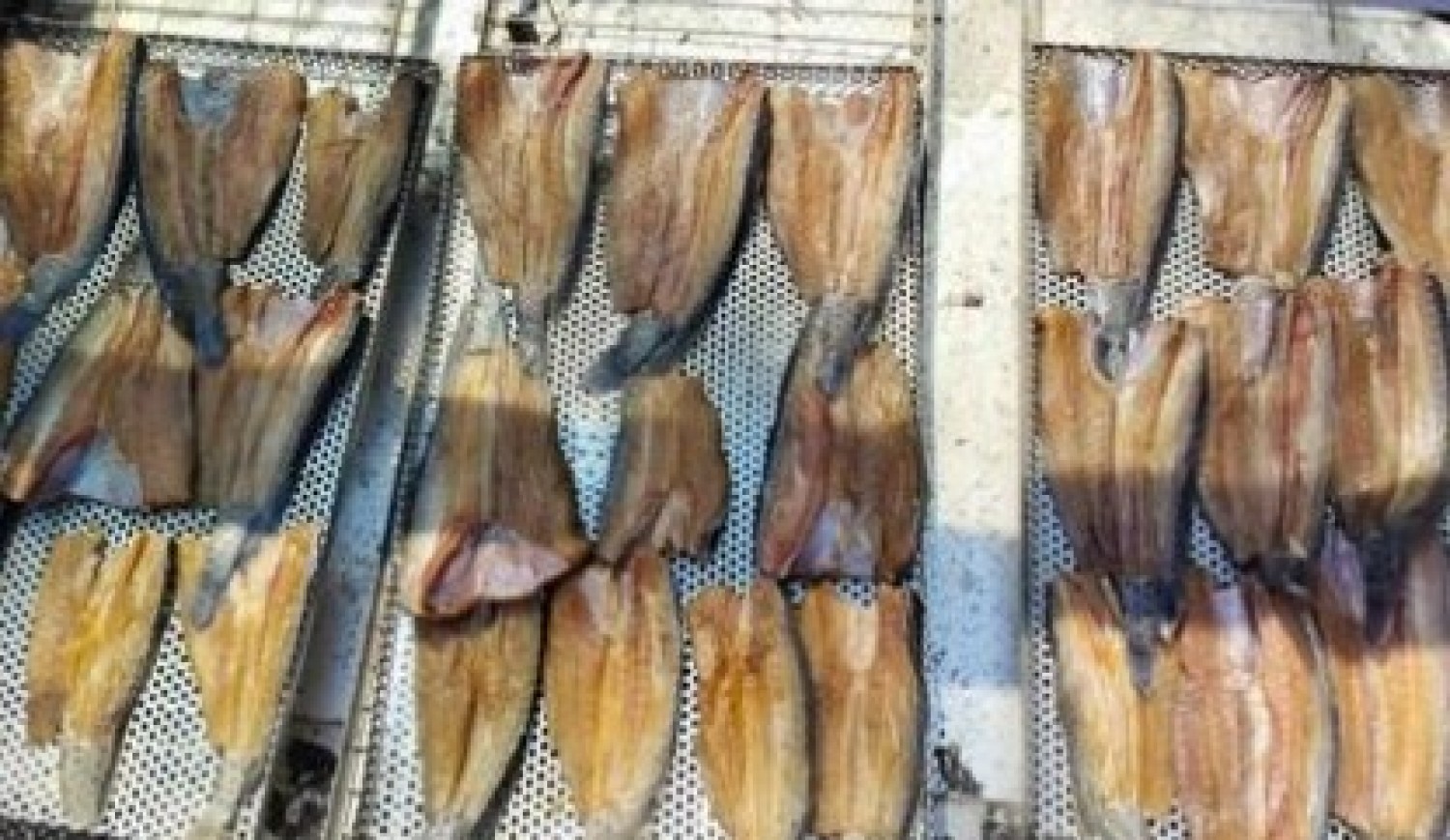 กระบวนการผลิตผลิตภัณฑ์ปลาดุกแดดเดียว