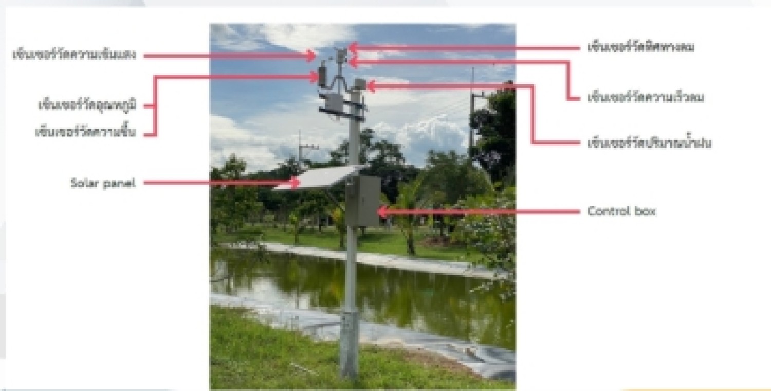 เครือข่ายเซ็นเซอร์แบบไร้สาย