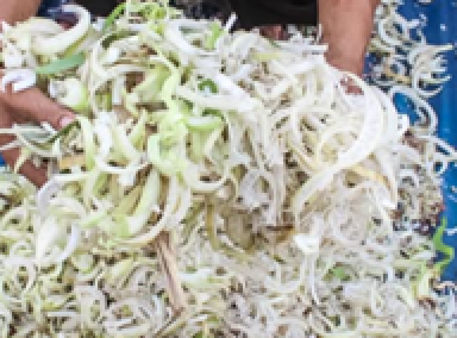 สูตรการเพาะเห็ดฟางในตระกร้าด้วยต้นกล้วยสับ
