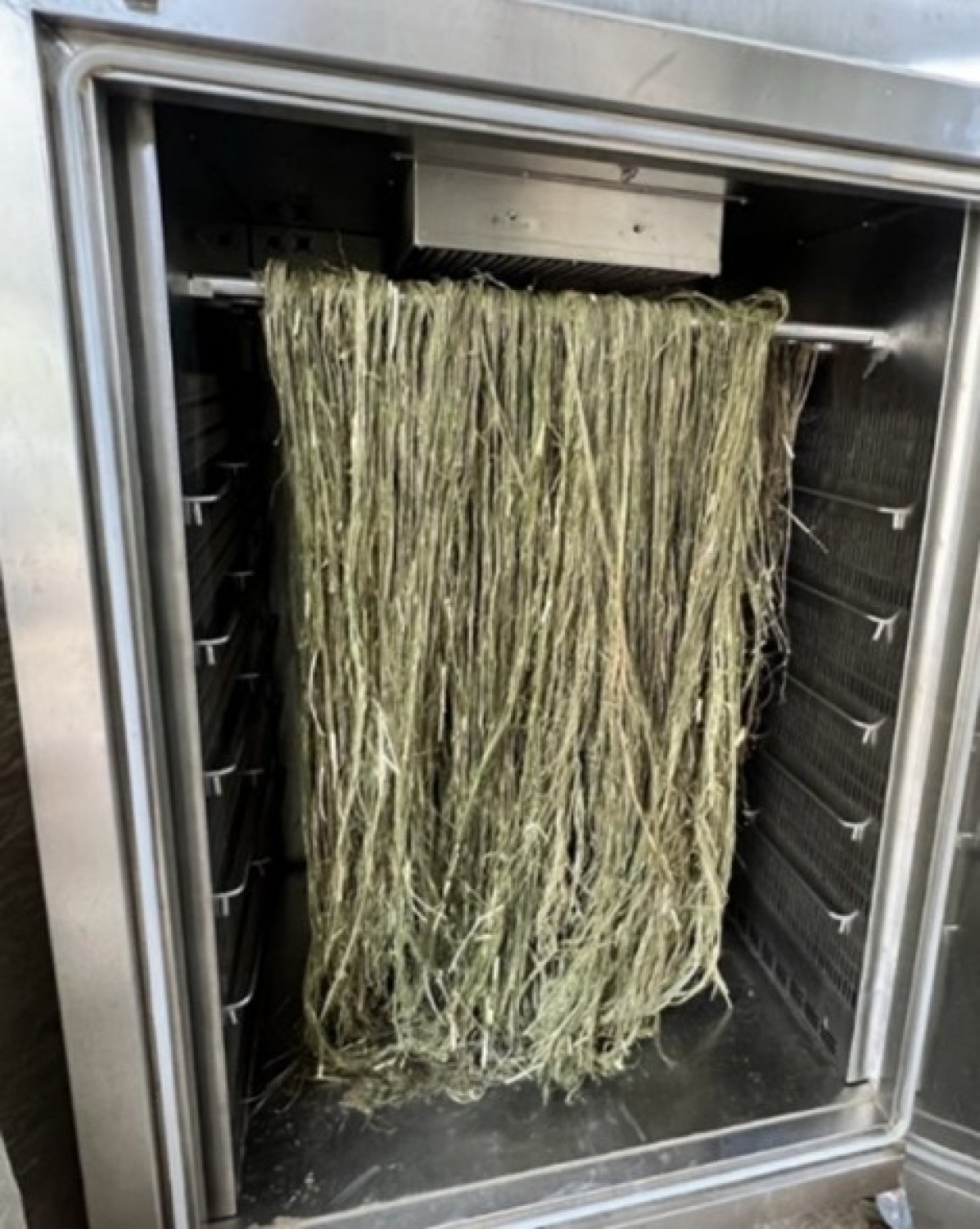 นวัตกรรมตู้อบแห้งเส้นใยกัญชงที่สามารถควบคุมอุณหภูมิ