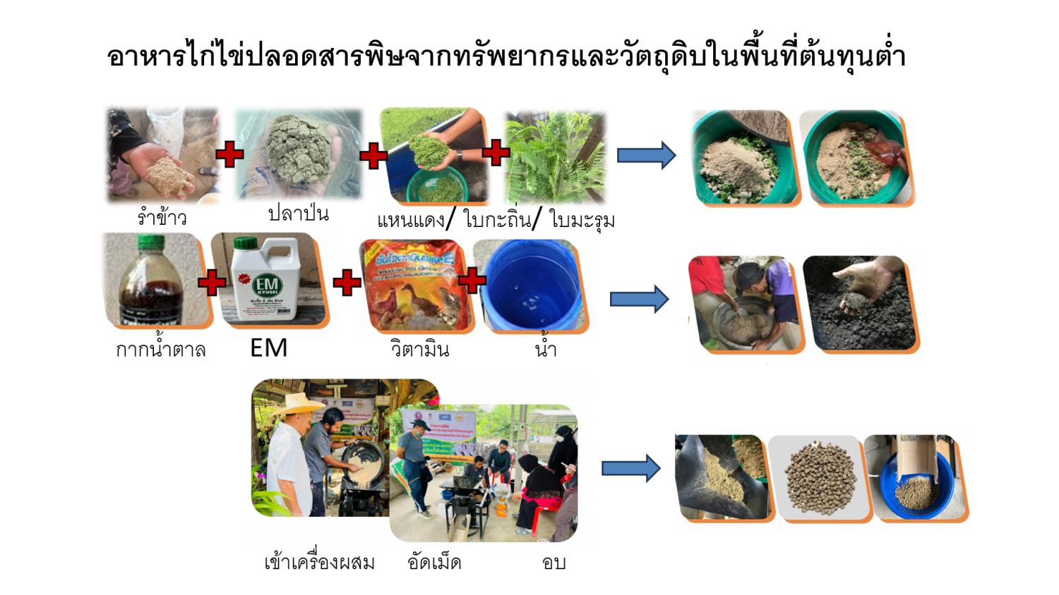 เทคโนโลยีอาหารสัตว์ปลอดสารพิษ