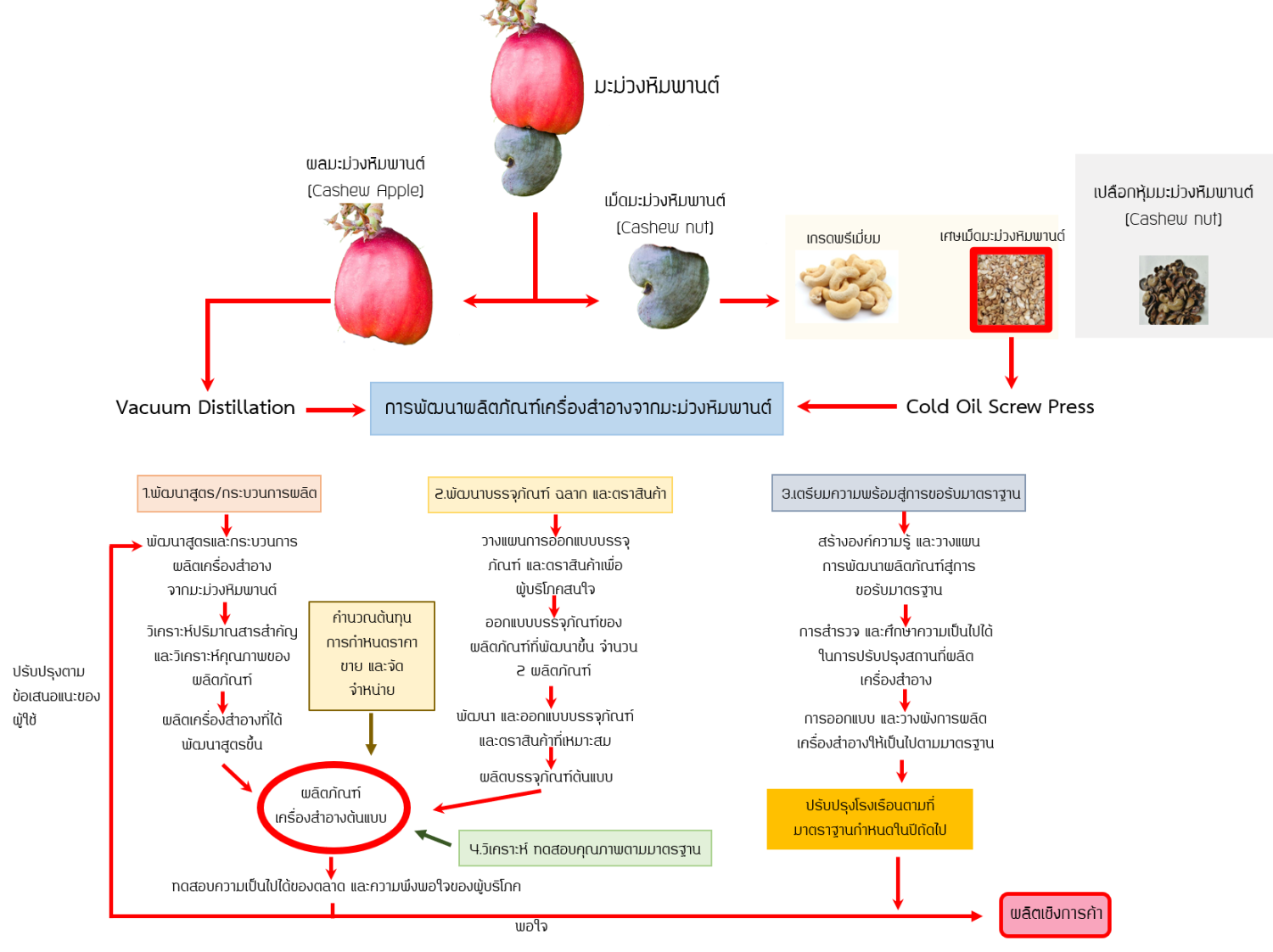 เทคโนโลยีการสกัดสารสำคัญ (Adapted Extraction Tech)