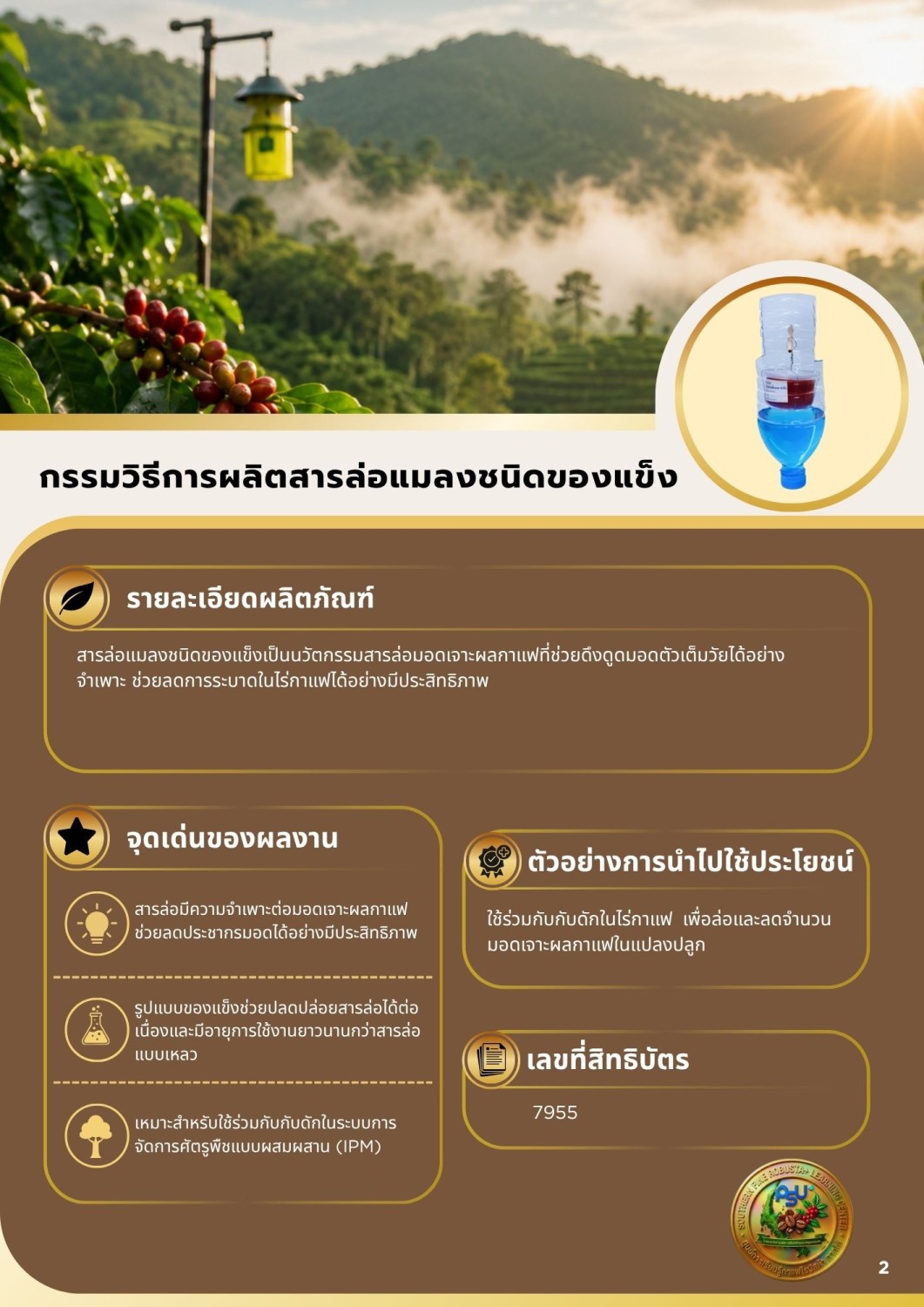 กรรมวิธีการผลิตสารล่อแมลงชนิดของแข็ง