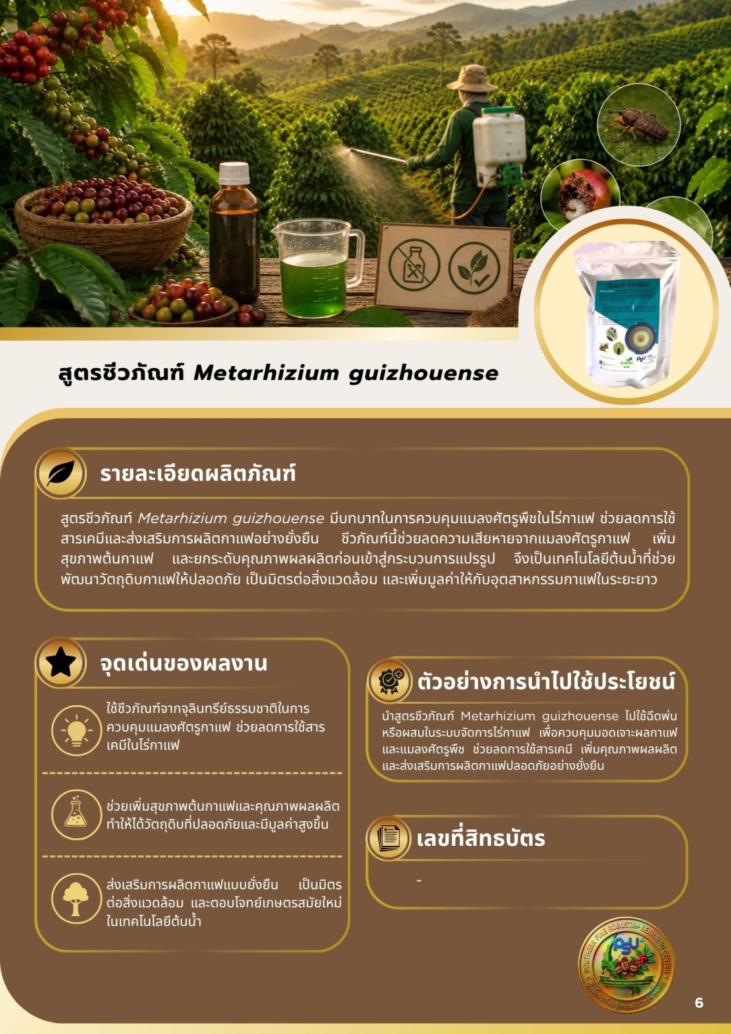 สูตรชีวภัณฑ์ Metarhizium guizhouense  