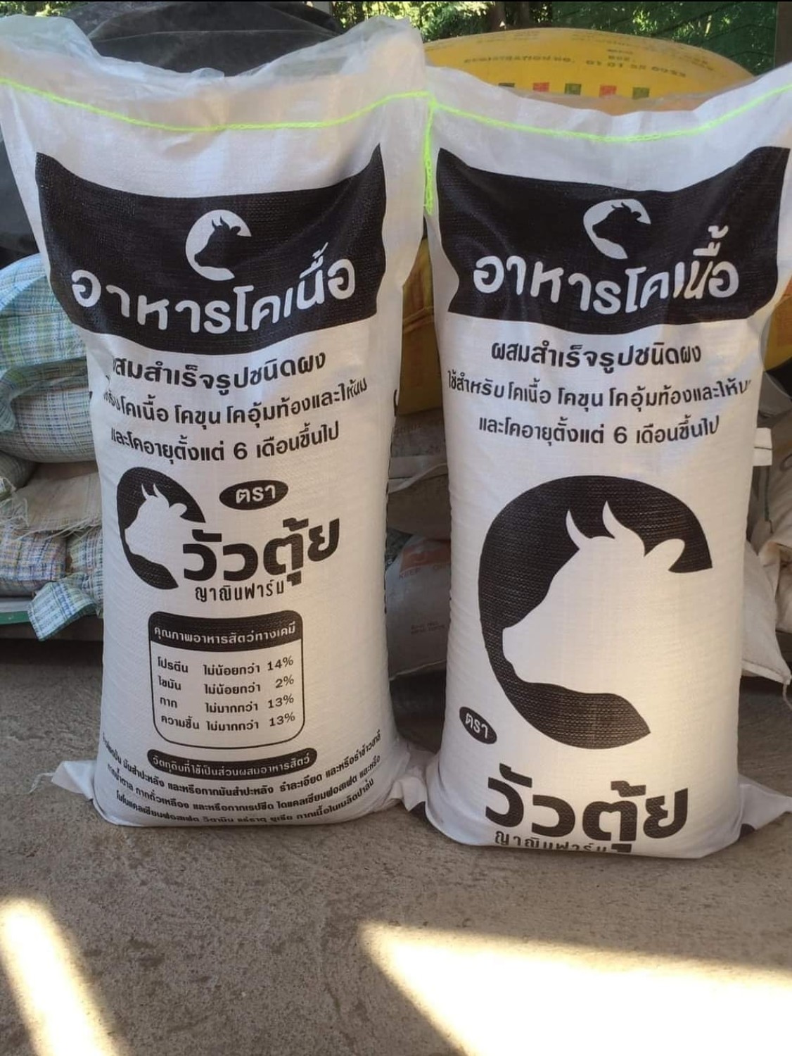 อาหารข้นสำหรับโคขุนลูกผสมชาร์โรเลส์