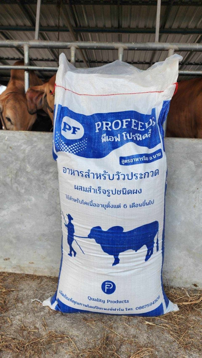 อาหารข้นสำหรับโคประกวด