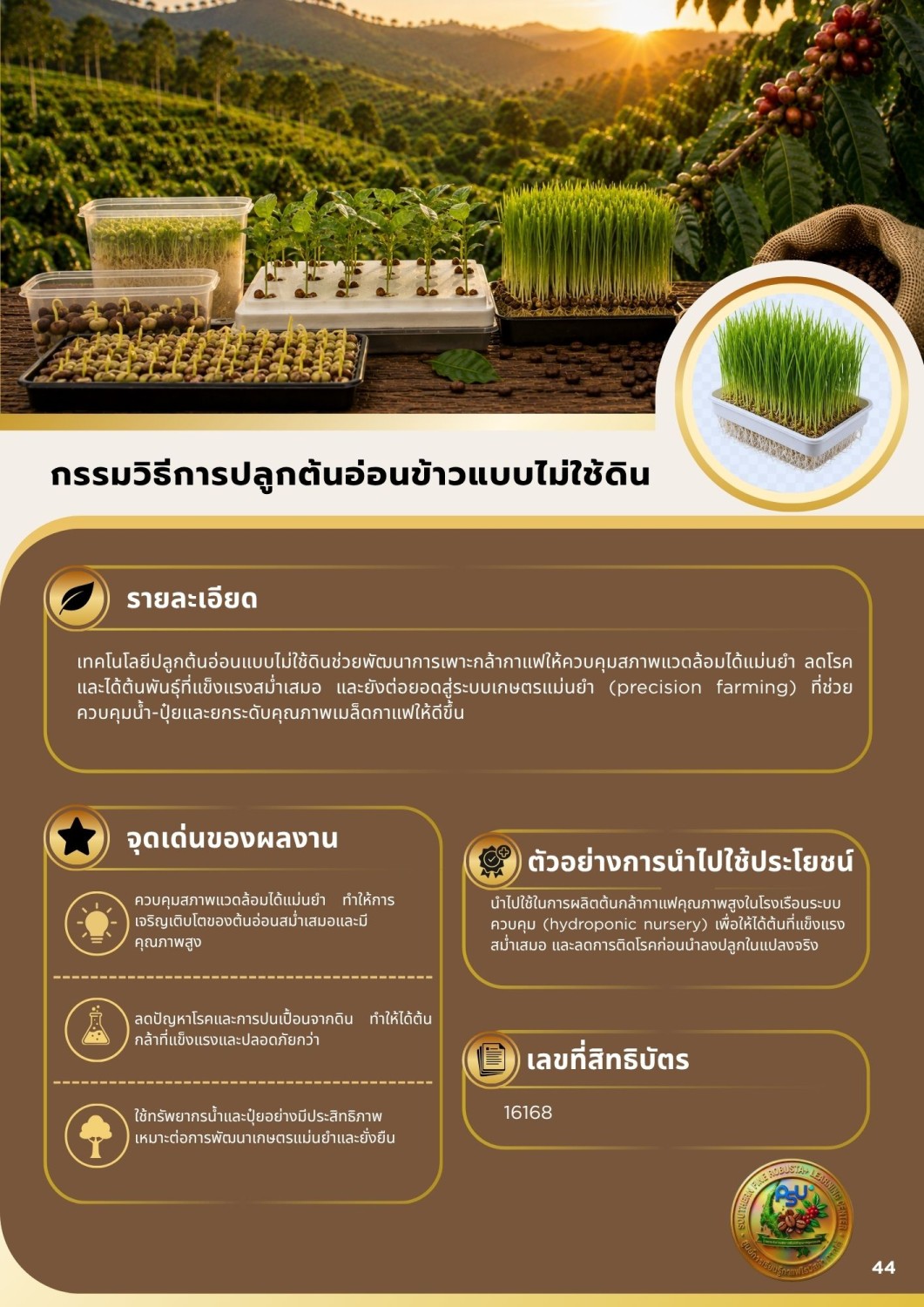 กรรมวิธีการปลูกต้นอ่อนข้าวแบบไม่ใช้ดิน