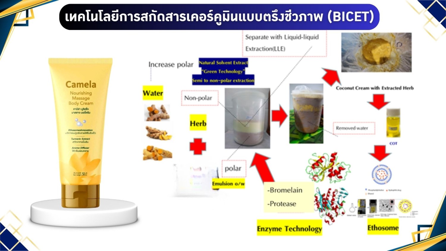 เทคโนโลยีการสกัดสารเคอร์คูมินด้วยเอนไซม์ตรึงชีวภาพ (BICET)