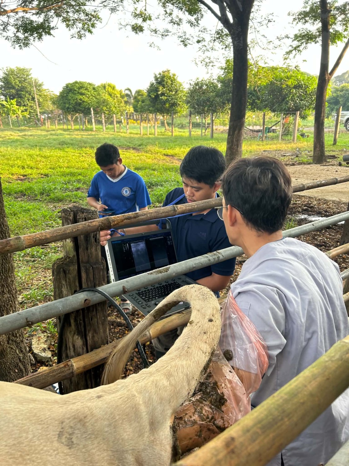 เทคโนโลยีเหนี่ยวนำการเป็นสัดและการตกไข่/การผลิตตัวอ่อน