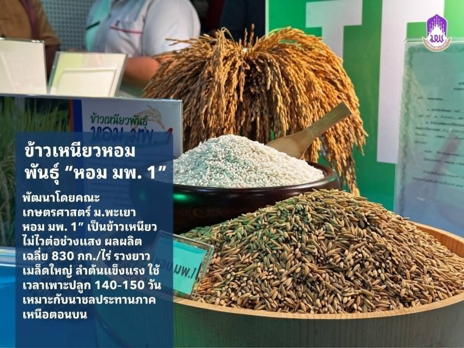 1.เทคโนโลยีการผลิตเมล็ดพันธุ์ข้าวคุณภาพระดับชุมชน