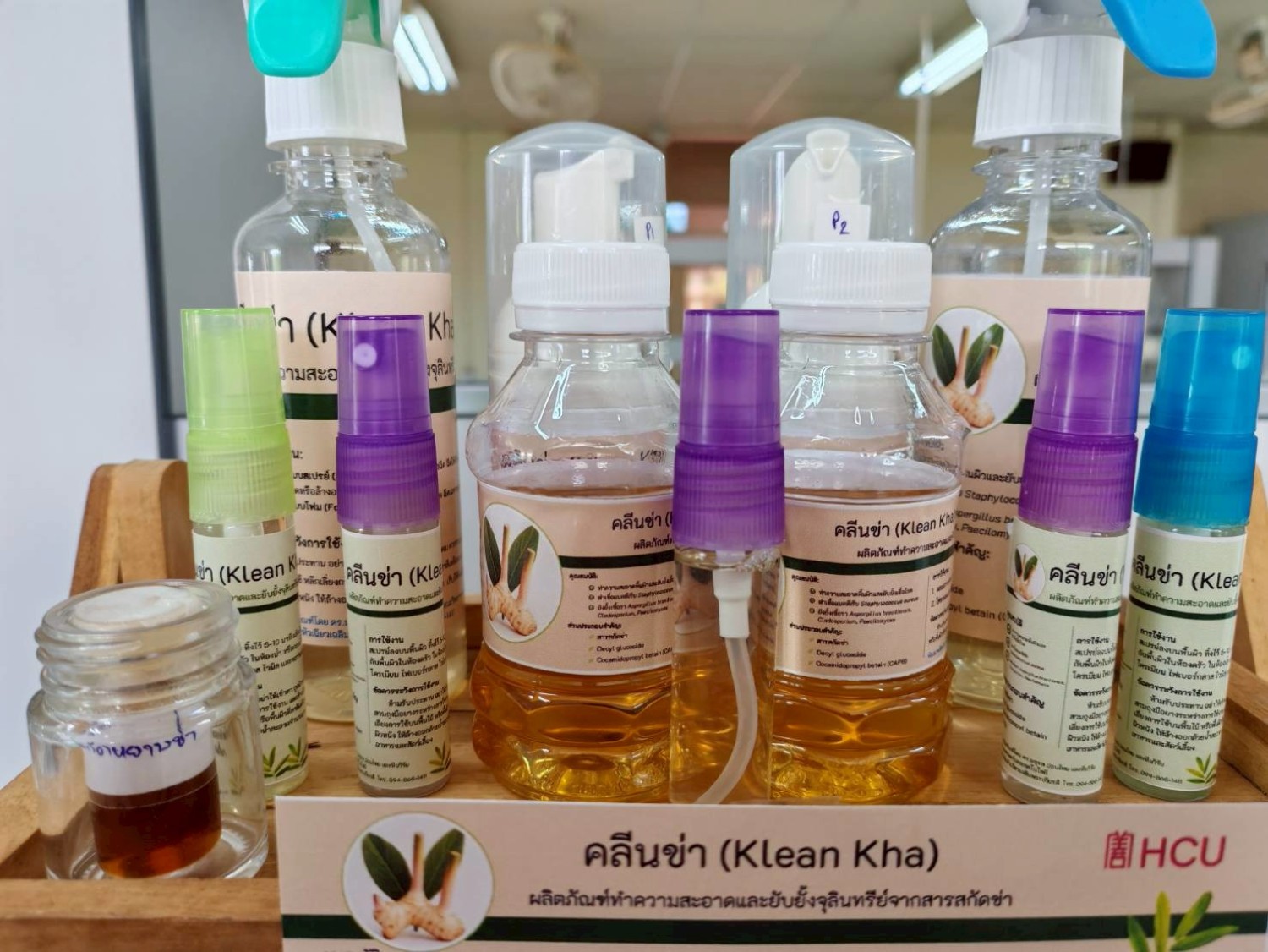 ผลิตภัณฑ์ทำความสะอาดและยับยั้งจุลินทรีย์จากสารสกัดข่า