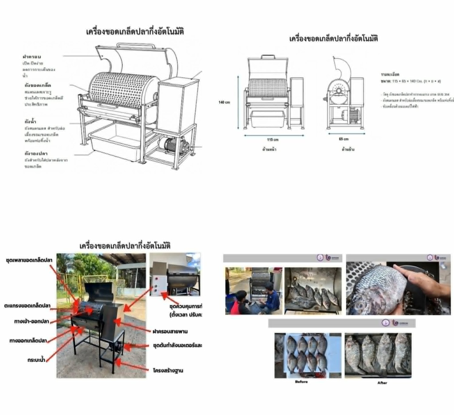 เครื่องขอดเกล็ดปลากึ่งอัตโนมัติ
