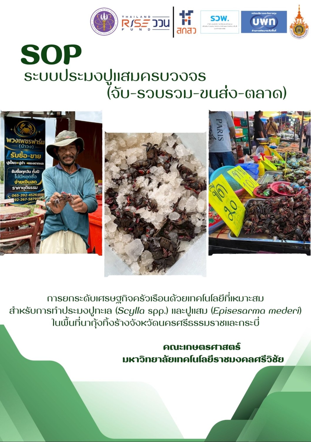 SOP ระบบประมงปูแสมครบวงจร (จับ–รวบรวม–ขนส่ง–ตลาด)