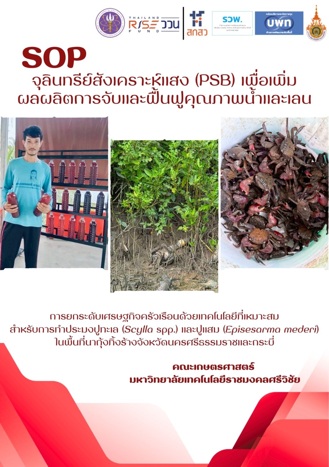 SOP จุลินทรีย์สังเคราะห์แสง (PSB) เพื่อเพิ่มผลผลิตการจับและฟื้นฟูคุณภาพน้ำและเลน